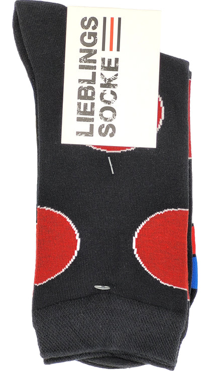 Chaussettes pour hommes Favorite Socks 2 paires (25359)